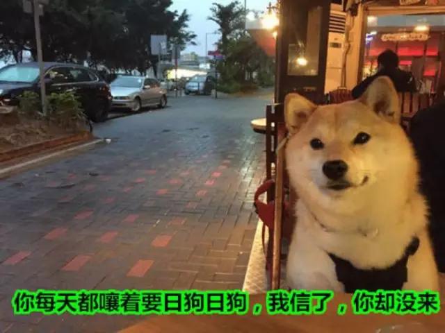 微信如何搞定一个男生,如何通过微信给男生奖励