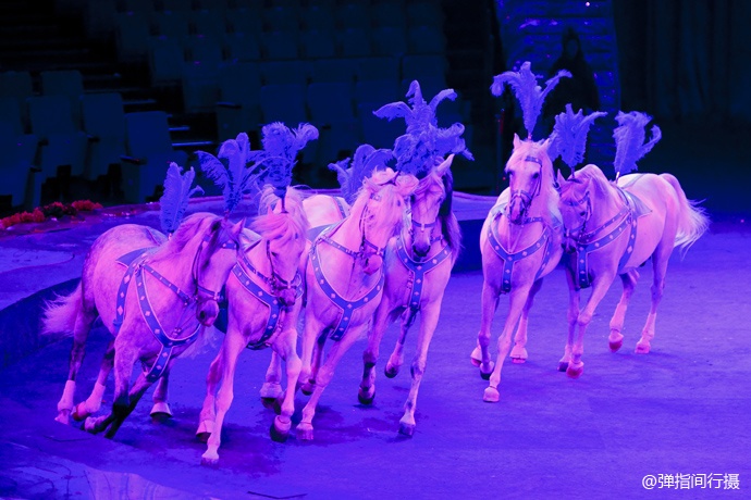 珠海长隆旅游攻略和住宿,珠海长隆周末有什么活动