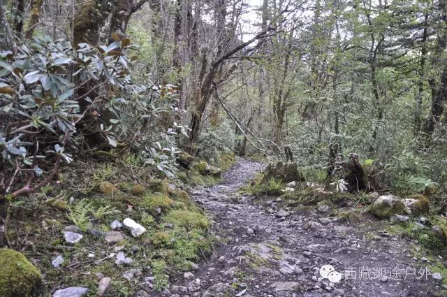 墨脱徒步攻略,墨脱雪山到热带雨林