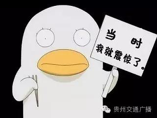 啥？贵阳竟然有个“东儿”热线！