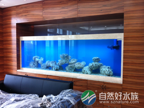 血鹦鹉颜色变白为什么,血鹦鹉鱼变白怎么回事