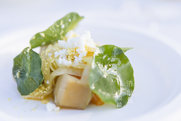 韩国济州岛最好吃的糕点美食,济州岛马肉