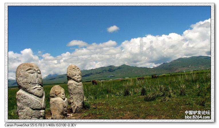 梦里花开——*疆新**，又一次的心动
