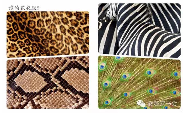 幼儿科普书籍,儿童科普绘本启蒙书