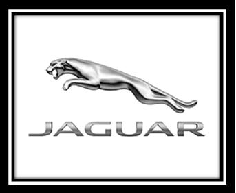 比较罕见的豪车车标图片,盘点那些只有车标的豪车