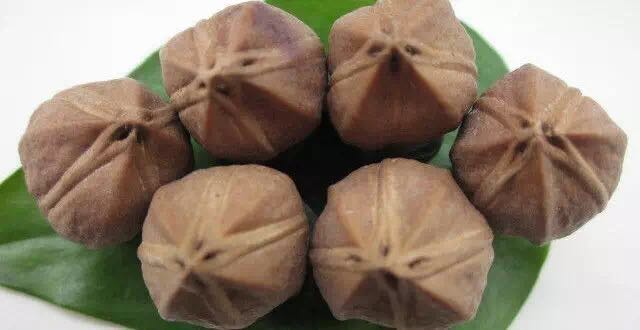 3花和四花橄榄核哪个更值得玩,如何看橄榄核几花