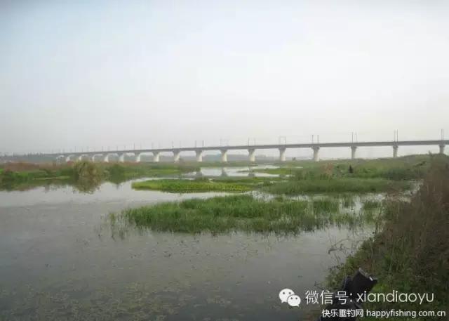 西安灞河钓鱼钓点,灞河路亚白条的钓点