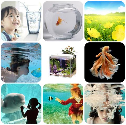 智能生态水族箱,鱼乐圈水族箱图片