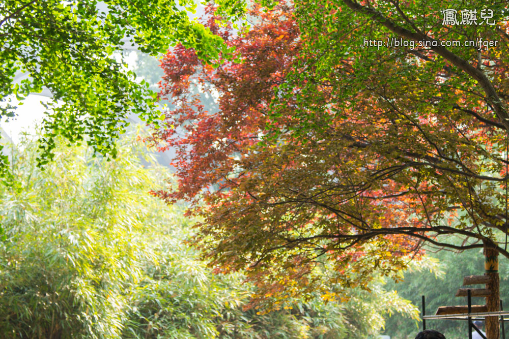 ​[凤麒儿]北京动物园——与动物的亲密接触