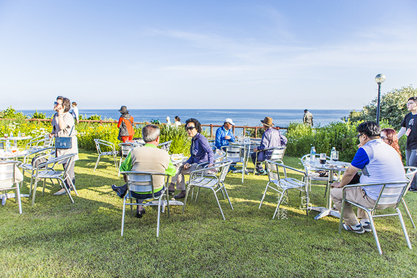 韩国济州岛最好吃的糕点美食,济州岛马肉