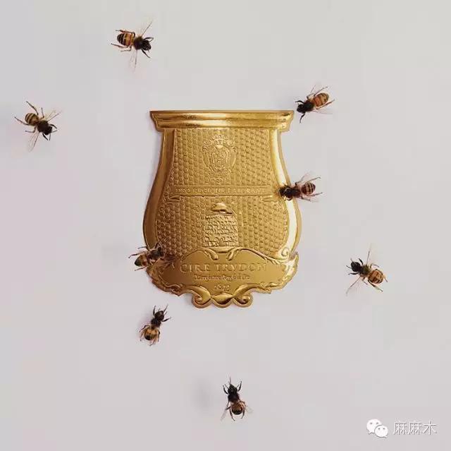 关于蜡烛的科普,科普知识蜡烛