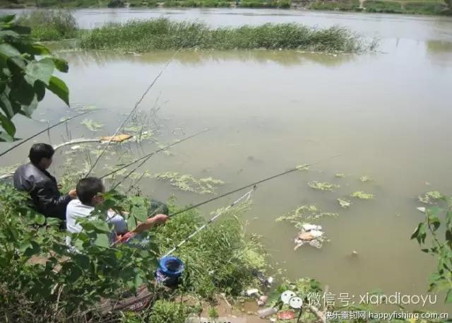 西安灞河钓鱼钓点,灞河路亚白条的钓点