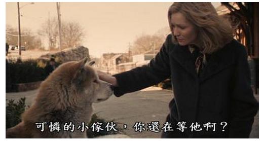 导盲犬小q动漫片影评,导盲犬小q电影总结