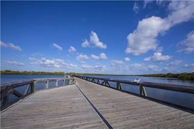 棕榈滩美景,棕榈滩沙滩