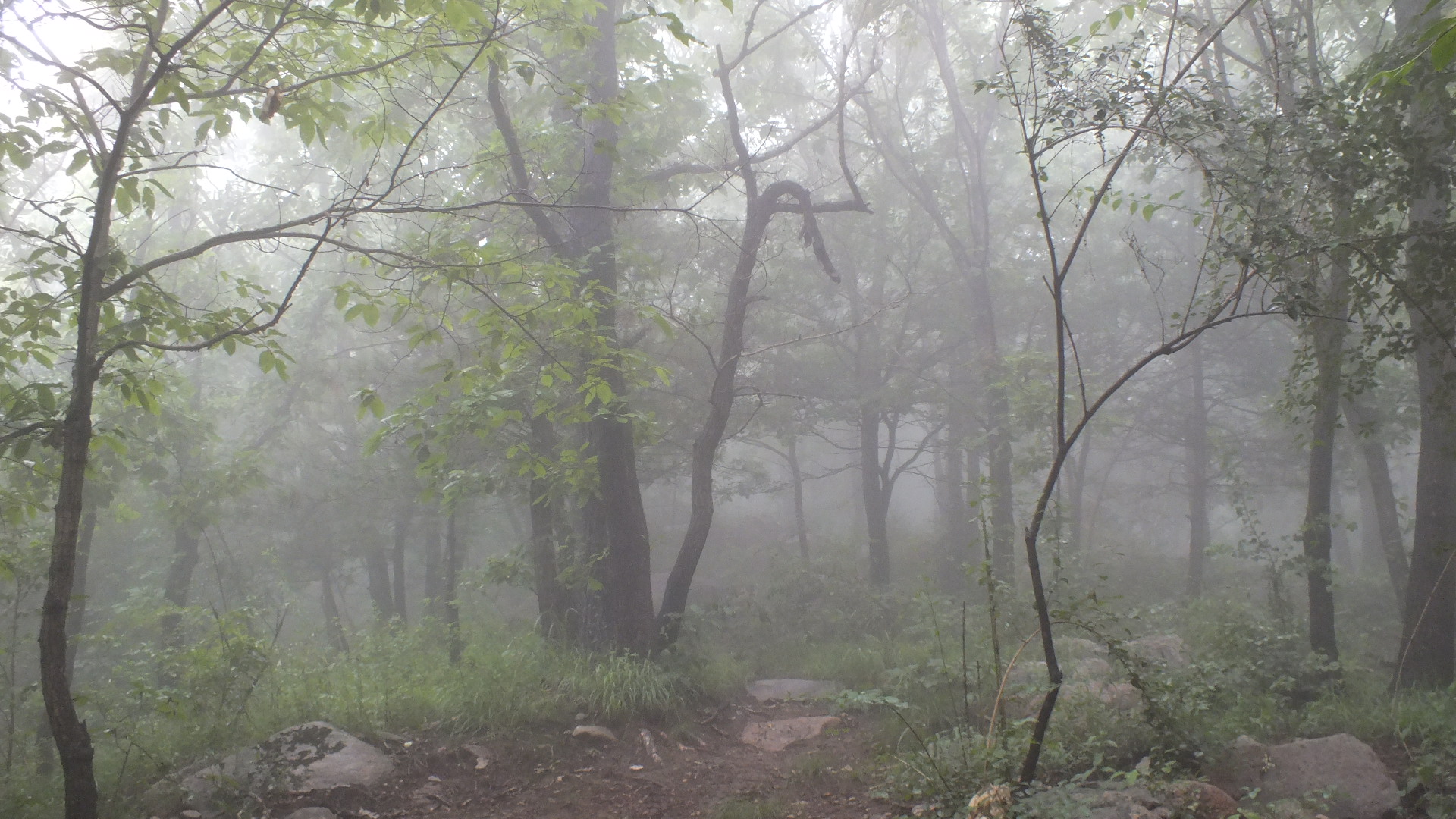 雨中的长白山美景描写,雨中天池