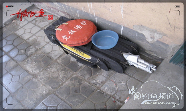 风雨无阻之我爱飞鱼去‘*欢寻**’！