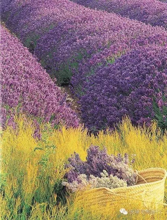 以英国为主9天欧洲深度游推荐,希腊欧洲旅游攻略