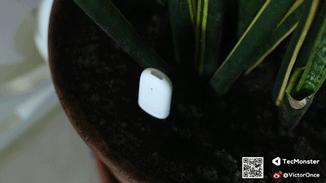 绿植栽培好帮手-花花草草检测仪