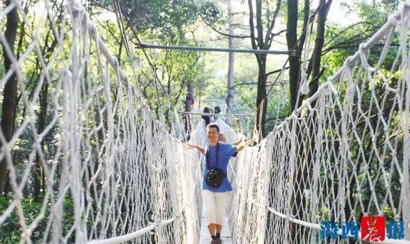 厦门同安千日红三角梅园花海,厦门翔安樱花油菜花