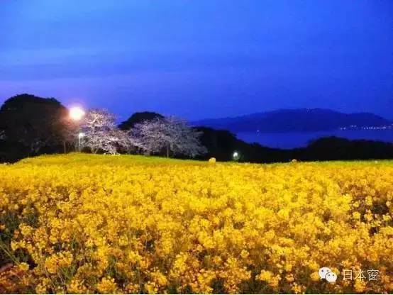 别再走马观花！日本九州最美的是这7个地方！