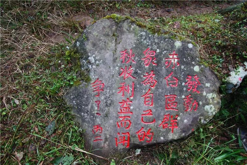 大开眼界和开阔视野,通江最新变化