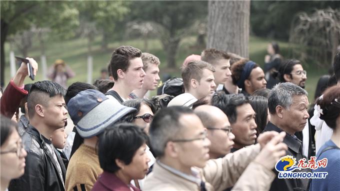 清明悼念英烈朗诵视频,感人催泪的清明烈士陵园