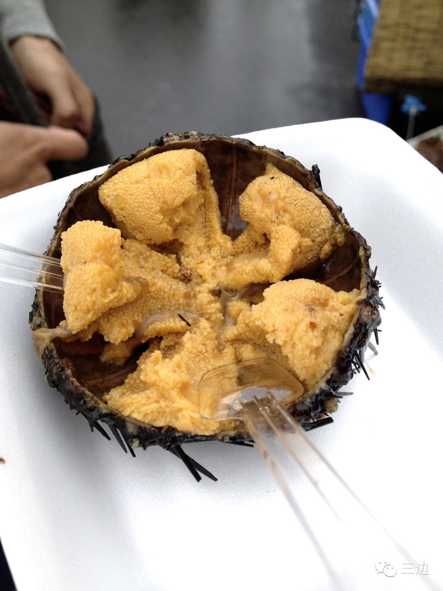 北海道攻略之函馆,北海道函馆观光