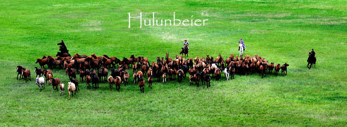 呼伦贝尔拍照攻略,呼伦贝尔美景拍照