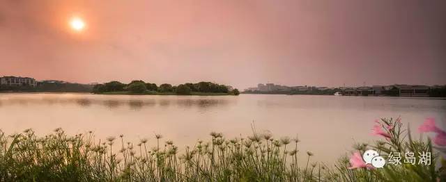 好消息佛山禅城,佛山吸引人的地方