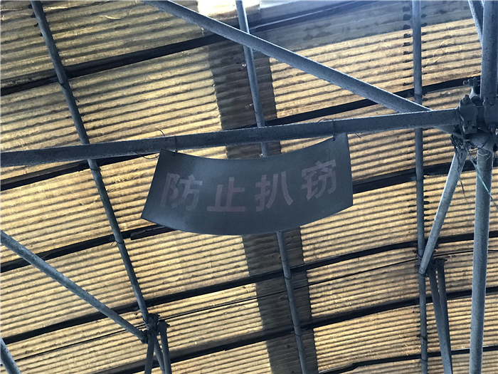 乱逛|曾经我总是跟着大人赶犀浦