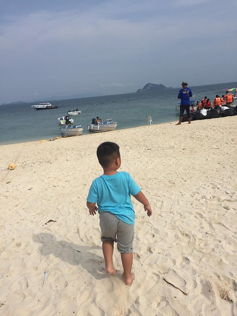 甯︾潃鐗涢瓟鐜嬬湅鏄熸槦,甯︾潃鐗涢瓟鐜嬪嚭鏉ョ湅涓婂笣