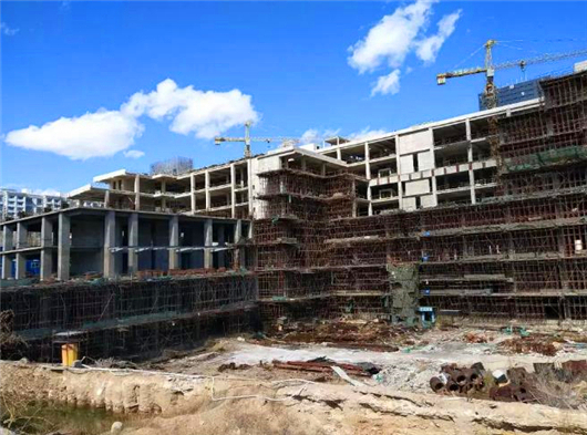 内蒙百亿集团,两大集团百亿资产纠葛