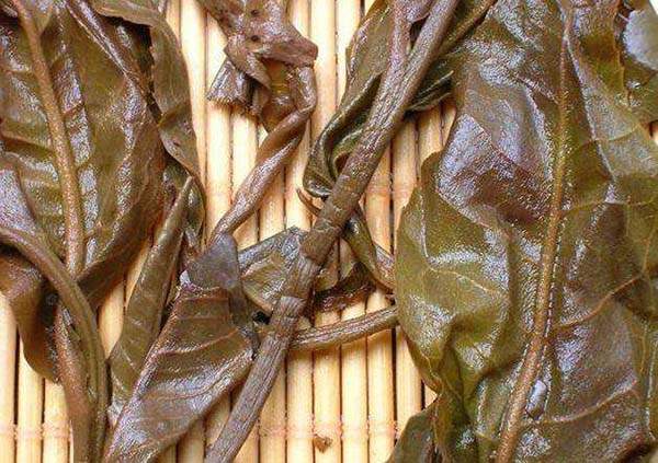 刀哥说普洱茶市场,易武茶和勐海茶特点