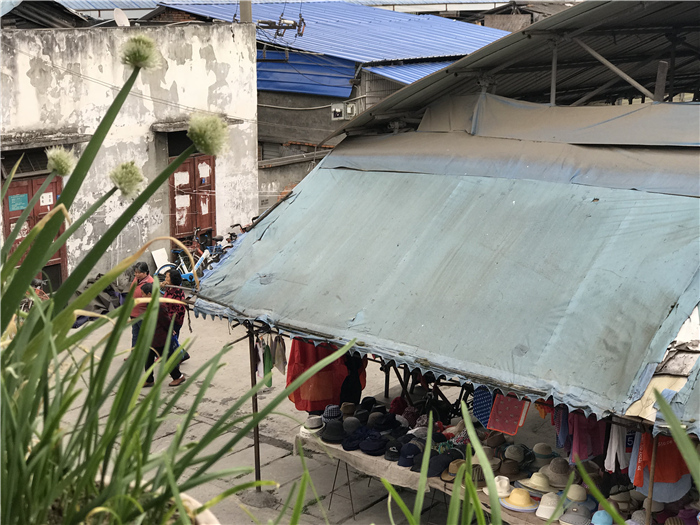 乱逛|曾经我总是跟着大人赶犀浦