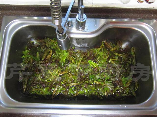 香椿芽腌制方法好吃还放不坏,香椿芽的腌制方法和时间