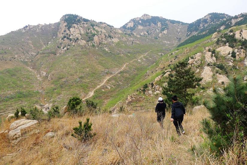 蒙山县反腐,蒙山县反腐新闻