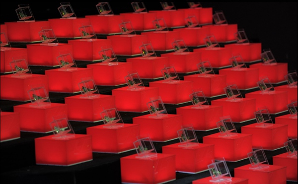 苗霖足球解说大会,足球解说大会惊艳开场