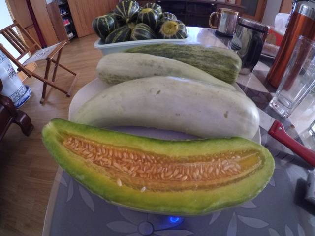 带上小蚁运动相机游潍坊（三）寿光菜博会