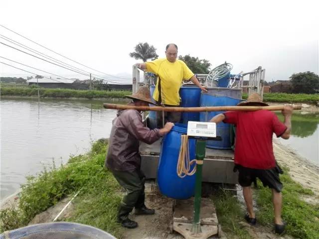 从种苗到流通，海大欲建价值链优势雄霸惠州市场