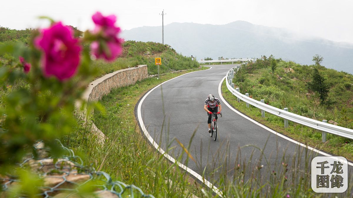 玫瑰花海旅行攻略,玫瑰花海自驾游攻略
