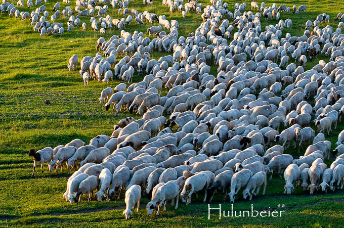 呼伦贝尔拍照攻略,呼伦贝尔美景拍照