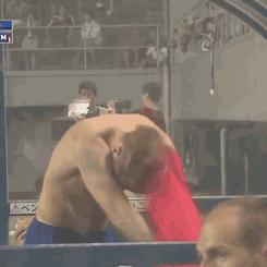 欧洲杯假球迷聊天,欧洲杯球迷第一视角