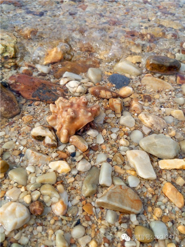 大连小众海边滨海路,大连最美海滨路在哪