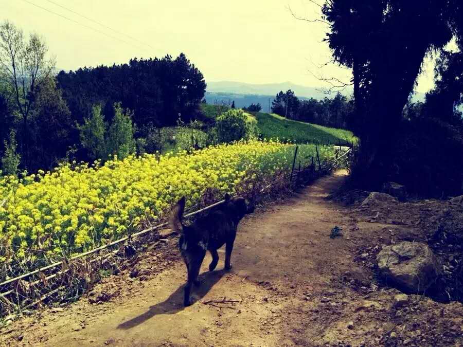 月白风清春华秋实,满仓和静梅爱情