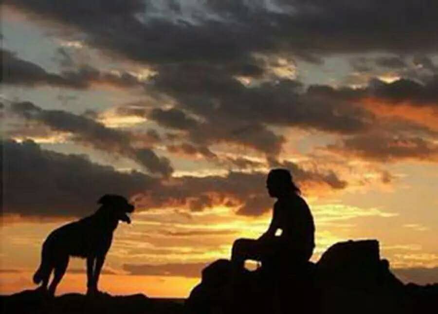 月白风清春华秋实,满仓和静梅爱情