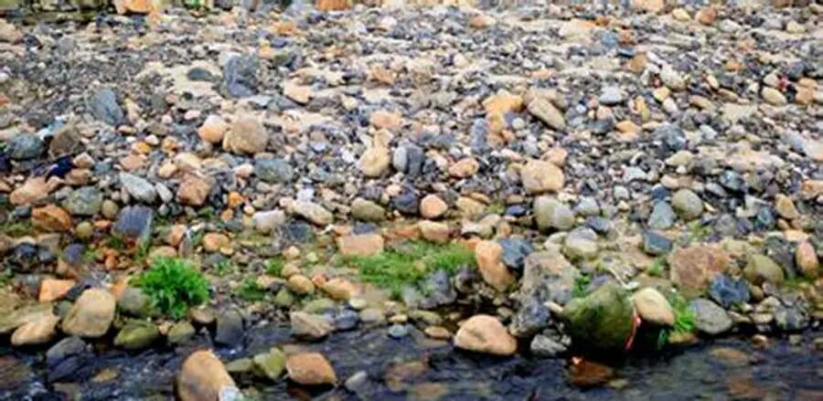 月白月明：满仓和他的女人