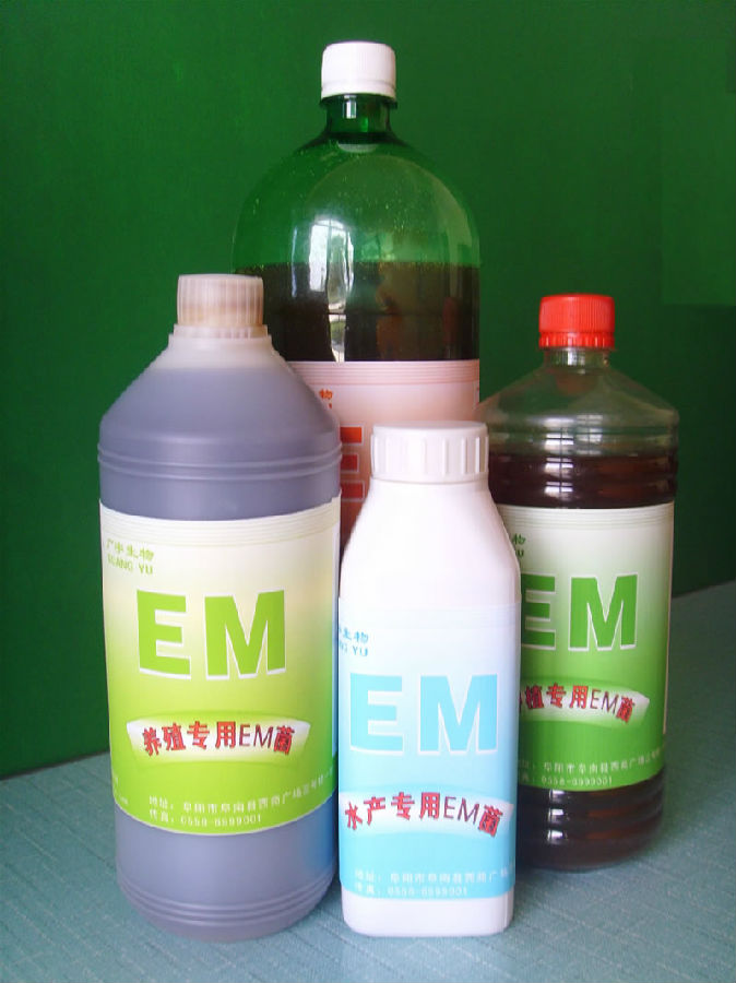 一般人不知道的钓鱼神饵,养鱼em菌的作用和功效