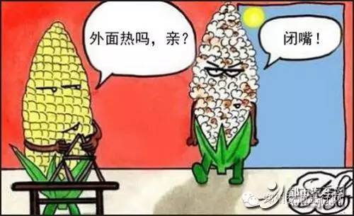 郑州公交有几种乘坐方式,郑州公交车怎么免费乘车