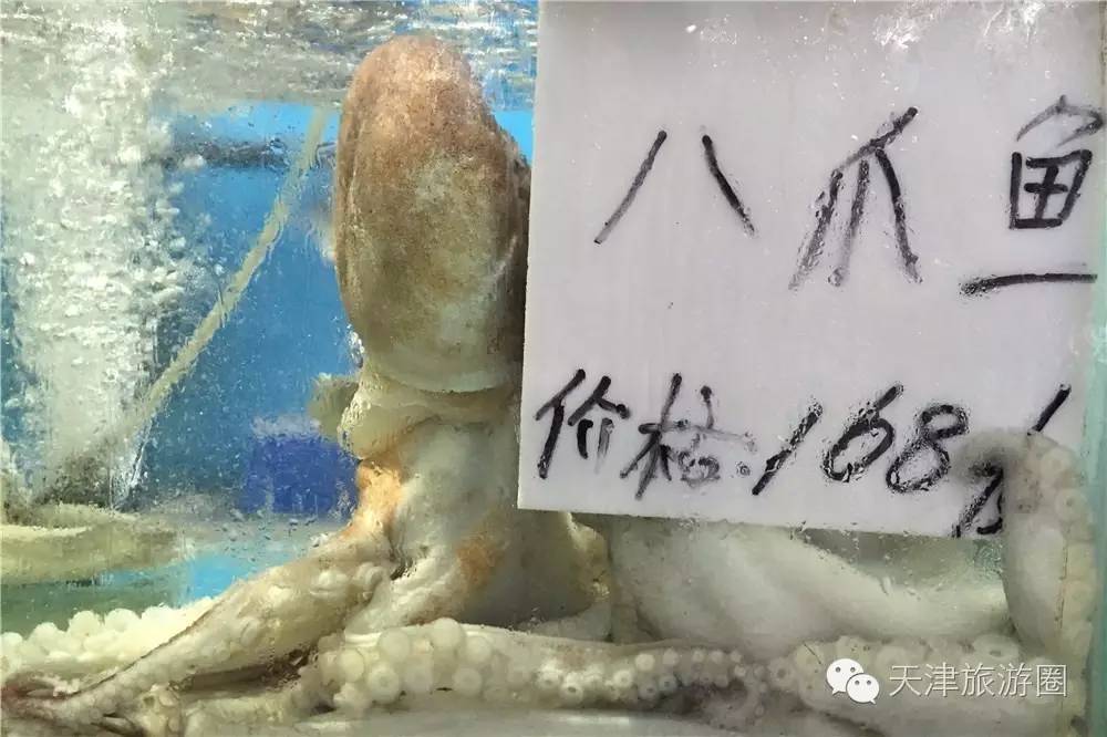 三亚学习做小吃,三亚必修课全部视频