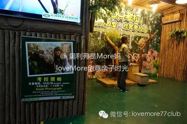 一日游广州长隆野生动物园攻略,广州长隆野生动物园自由行攻略